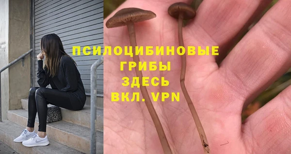 мдпв Белоозёрский