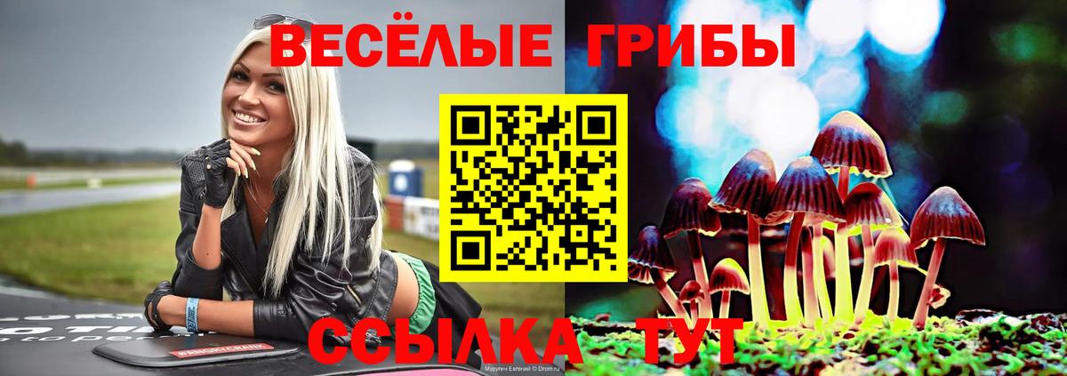 Псилоцибиновые грибы мухоморы  Вход с VPN  Армавир 