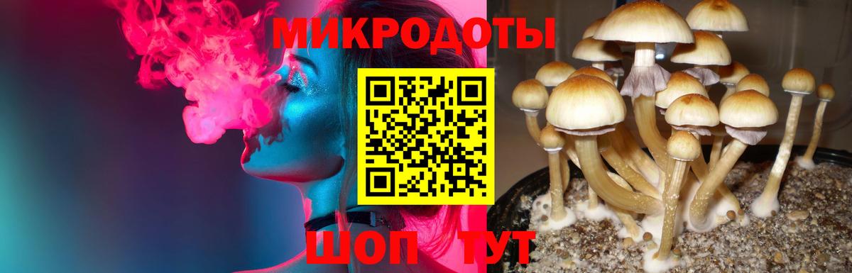 Галлюциногенные грибы мицелий Армавир